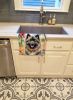 Keeshond Luau Kitchen Towel Dish Cloths Guest Hand Towel Decorative Bathroom Towel for Face,Tea, Dishcloth, Kitchen and Bath